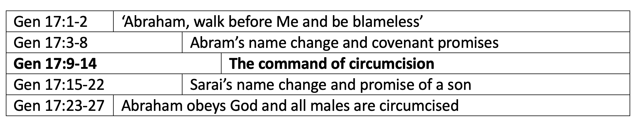 What is the significance of circumcision? (Gen 17:9-27) – Labradorite ...